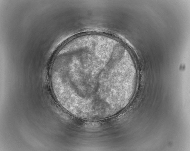 X0000093101215200710241214