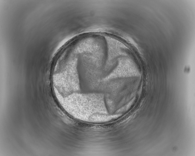 X0000093101216200710241214