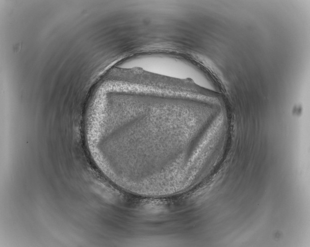 X0000093101217200710241214