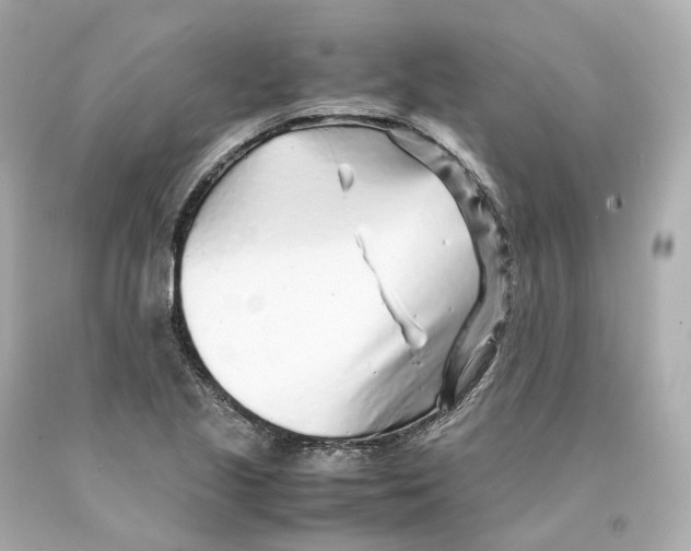 X0000093101221200710241214