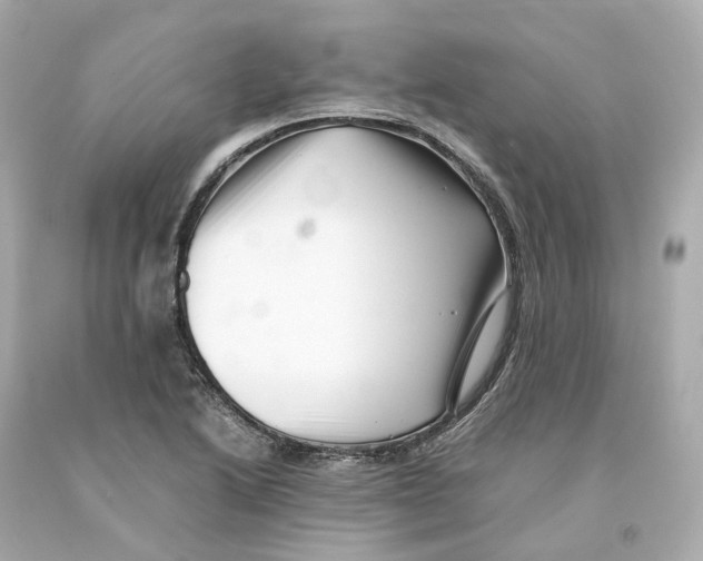 X0000093101222200710241214