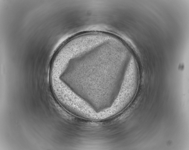 X0000093101224200710241214