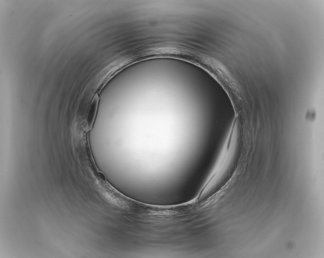 X0000093101225200710241215
