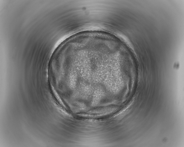 X0000093101226200710241215
