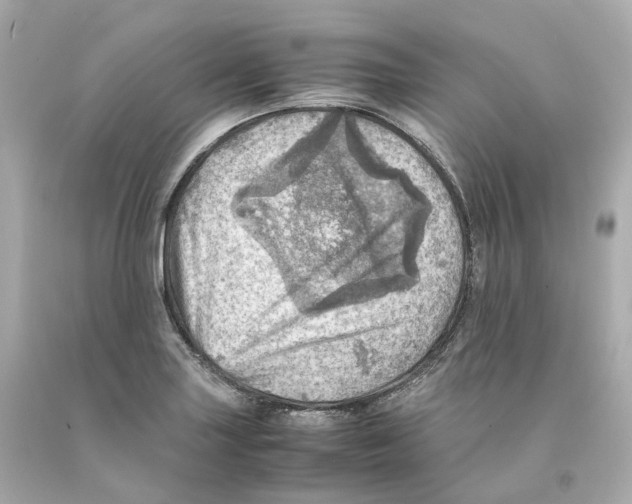 X0000093101227200710241215