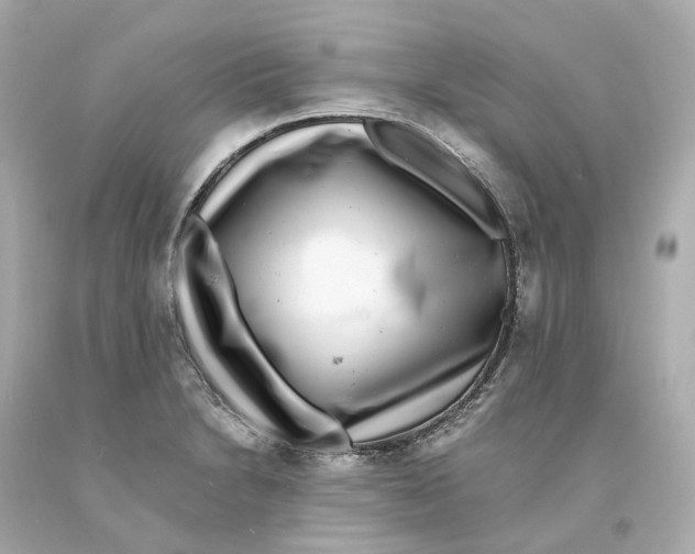 X0000093101230200710241215