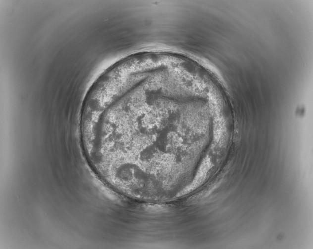 X0000093101231200710241215