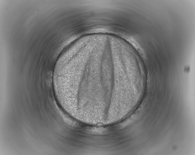 X0000093101233200710241215