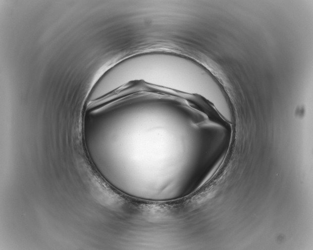 X0000093101234200710241215