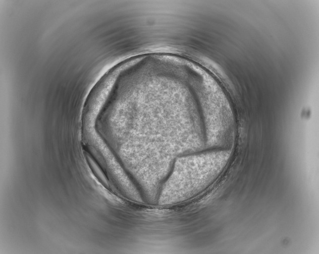 X0000093101236200710241215