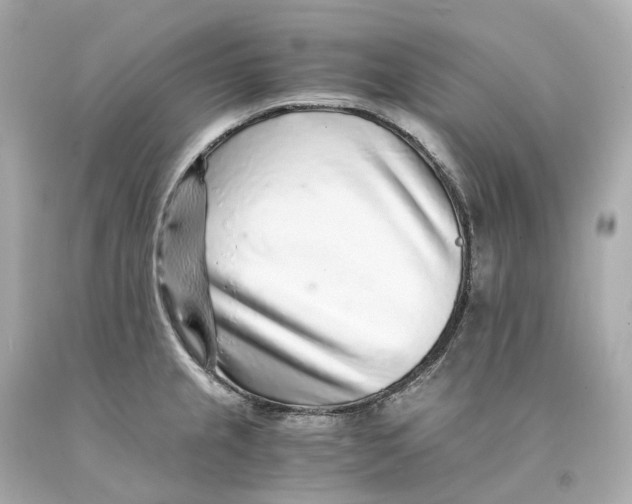 X0000093101237200710241215