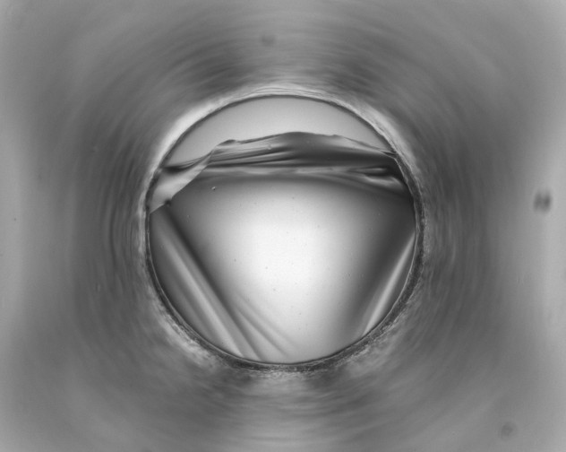 X0000093101238200710241215