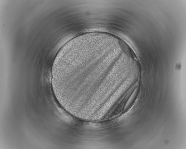 X0000093101241200710241215