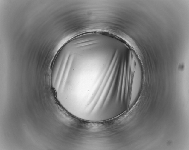 X0000093101242200710241215