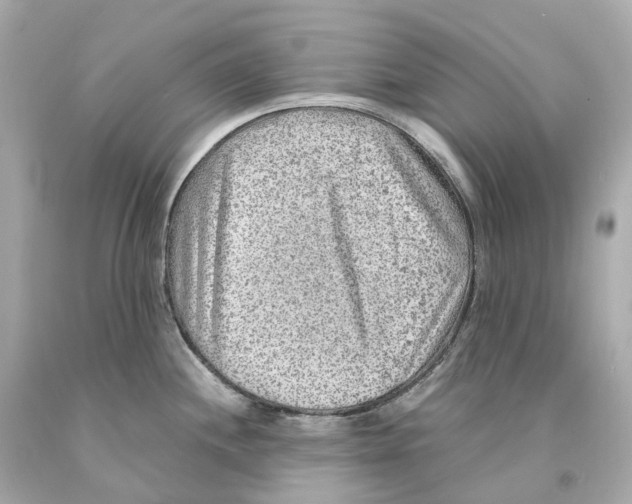X0000093101244200710241215
