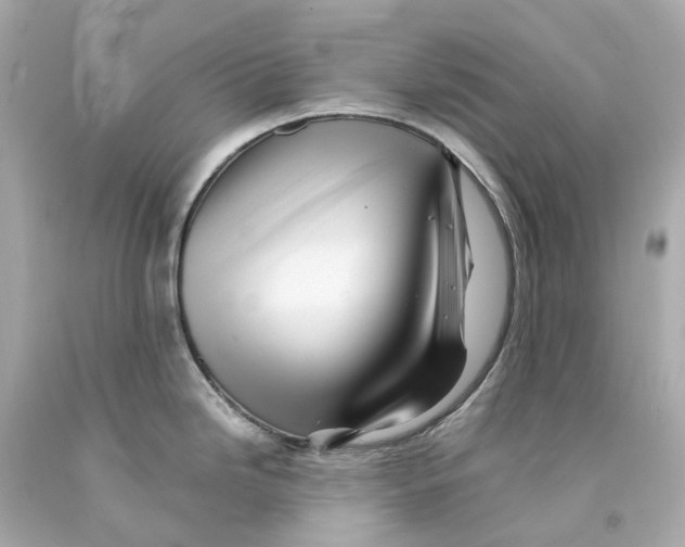 X0000093101246200710241215