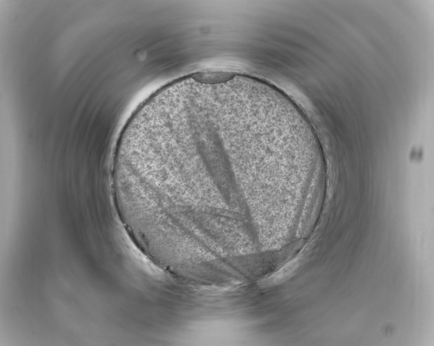 X0000093101248200710241215