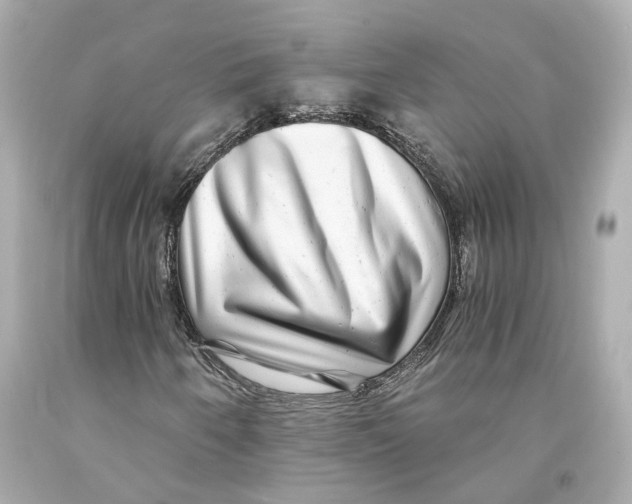 X0000093101250200710241214