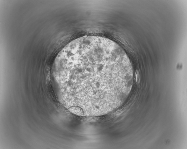 X0000093101251200710241214