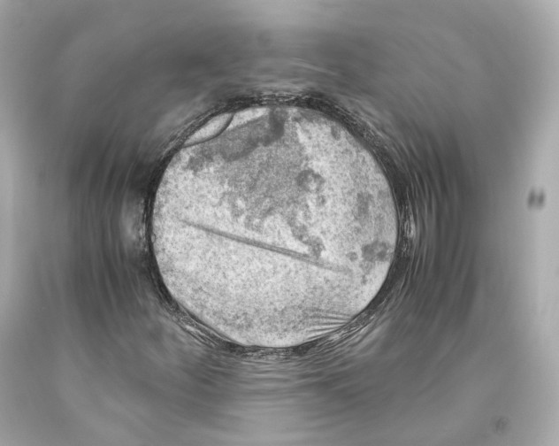 X0000093101252200710241214