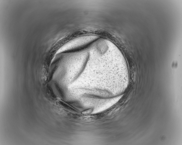 X0000093101253200710241214