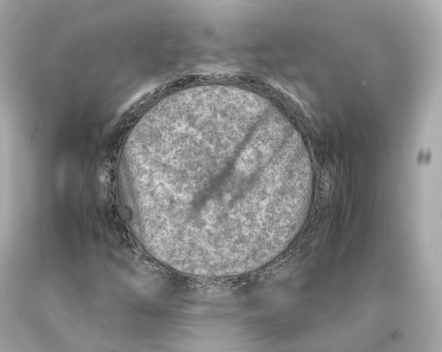 X0000093101254200710241214