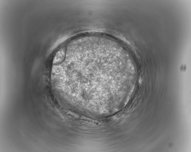 X0000093101255200710241214