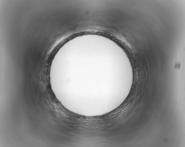 X0000093101256200710241214