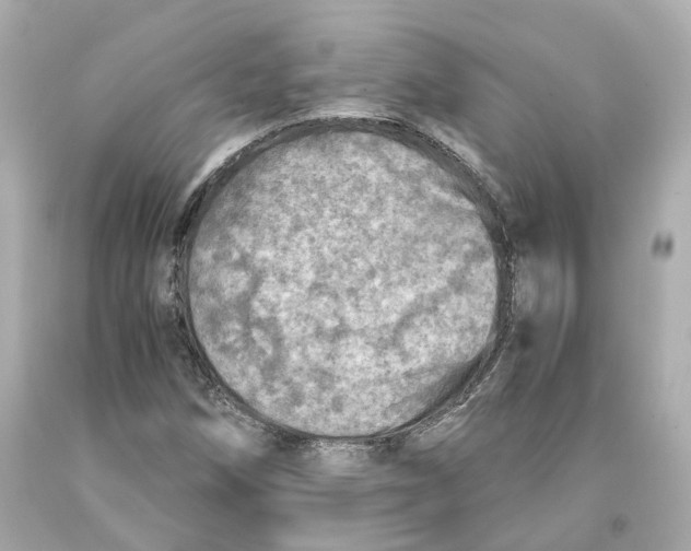 X0000093101258200710241214