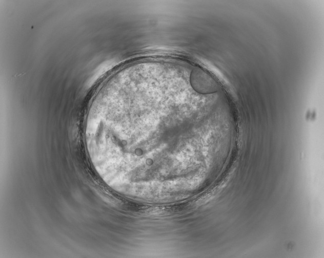 X0000093101259200710241214