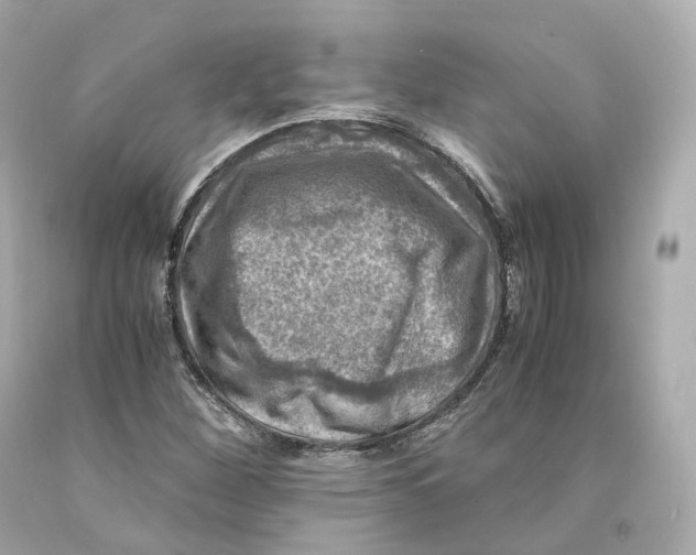 X0000093101260200710241214