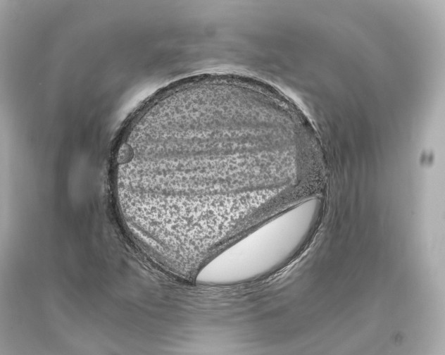 X0000093101263200710241214