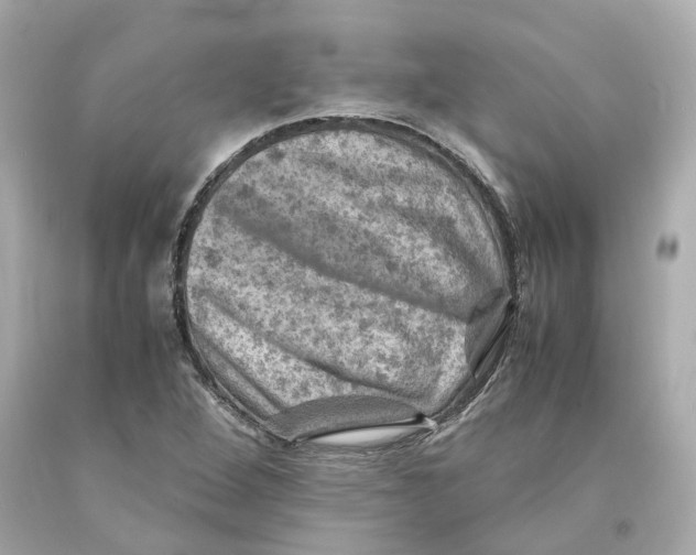 X0000093101264200710241214