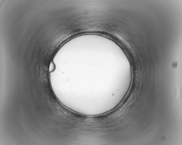 X0000093101265200710241214