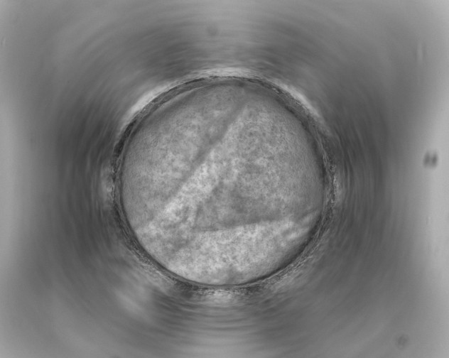 X0000093101266200710241214