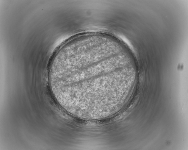 X0000093101267200710241213