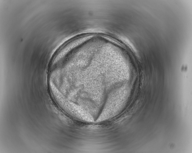 X0000093101268200710241213