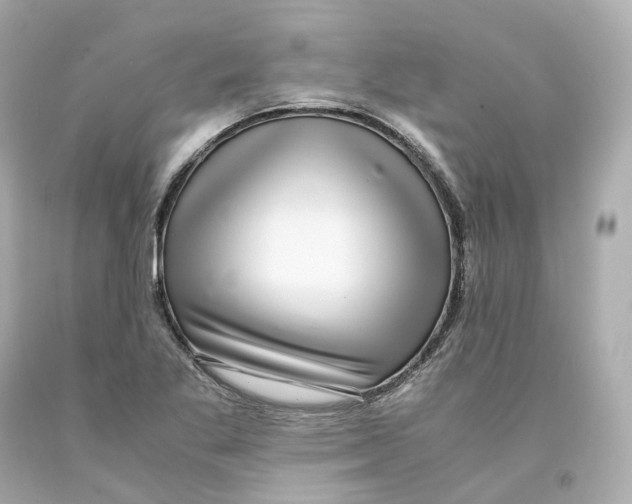 X0000093101269200710241213