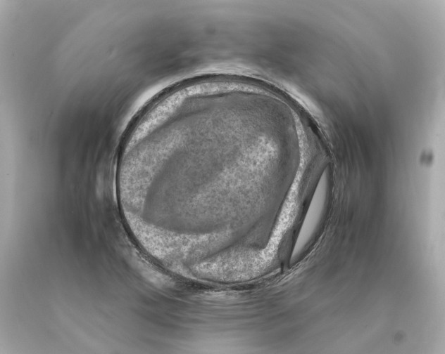 X0000093101272200710241213
