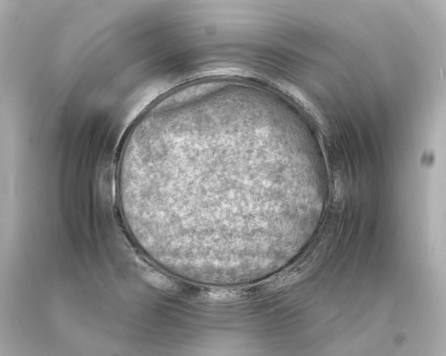X0000093101274200710241213