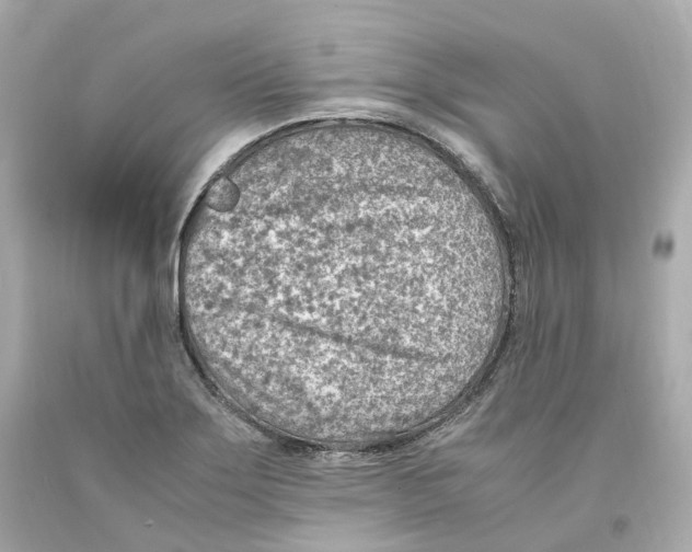 X0000093101275200710241213