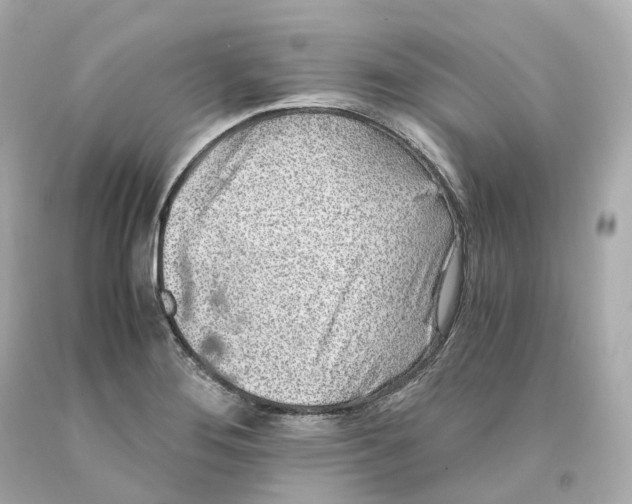 X0000093101276200710241213