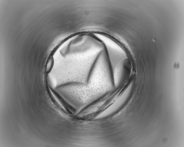 X0000093101277200710241213