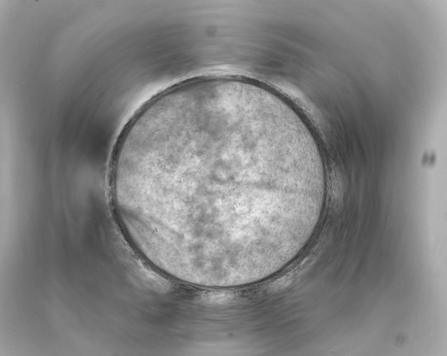 X0000093101278200710241213