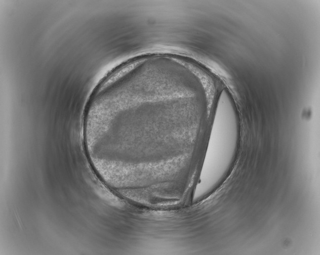 X0000093101280200710241213