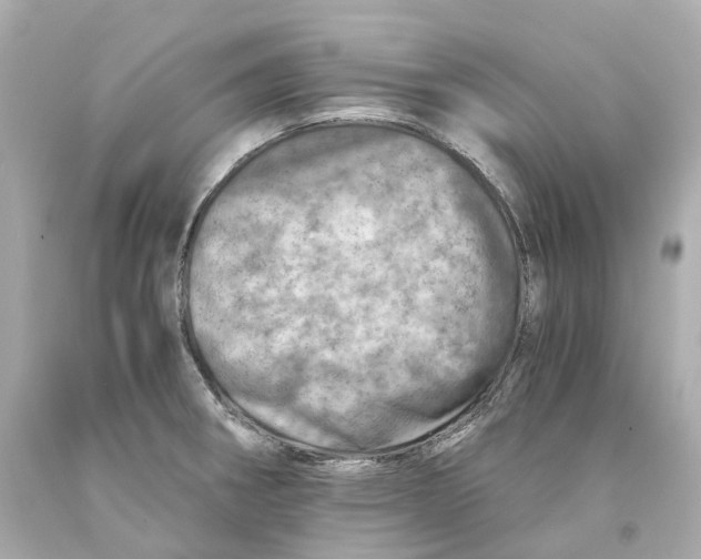 X0000093101282200710241213