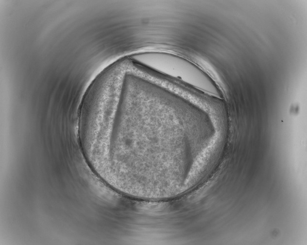 X0000093101284200710241213