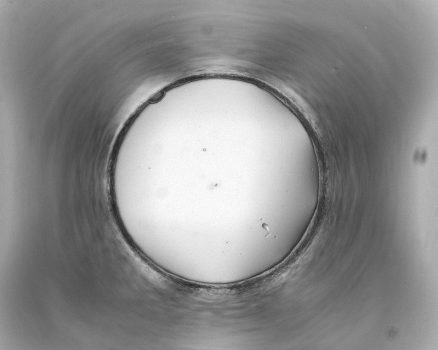 X0000093101285200710241213