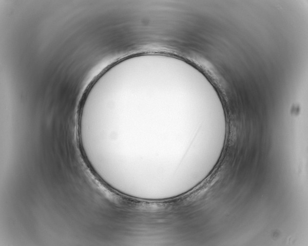 X0000093101286200710241213