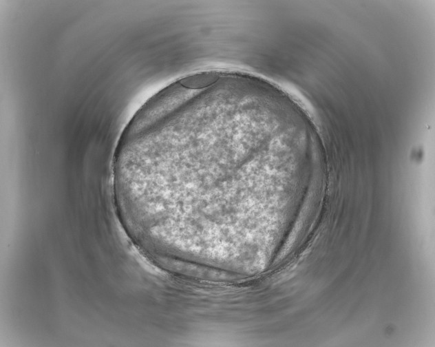 X0000093101287200710241213